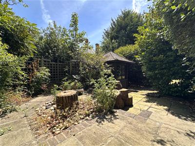 Picture 28